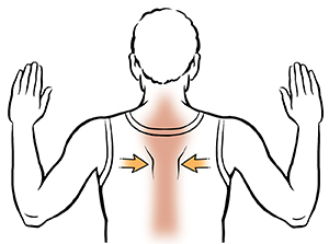 Exercise showing man's back with arms bent at elbows, pinching shoulder blades together.