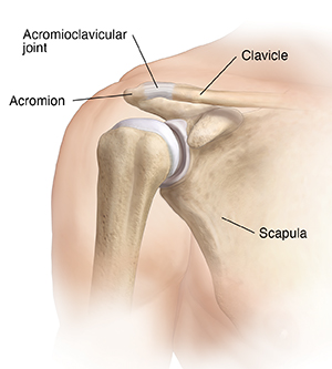 Front view of shoulder showing acromioclavicular joint.