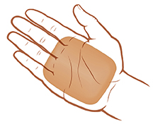 Palma de una mano abierta para mostrar el tamaño de una porción de 2 a 3 onzas.