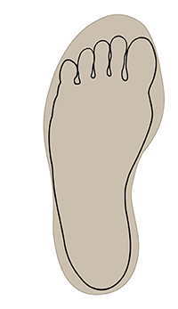 Contorno de un pie que se ajusta dentro de la forma de un calzado.
