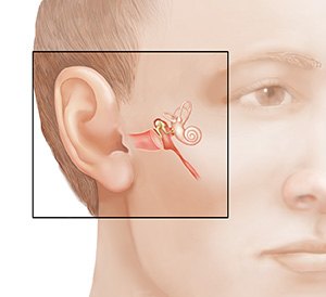 El rostro de un hombre donde pueden verse las estructuras del oído interno.