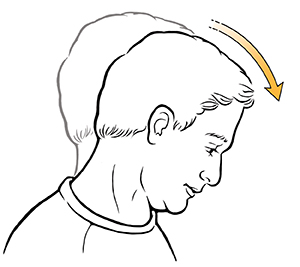 Vista lateral de la cabeza de un hombre que muestra el estiramiento de cuello.