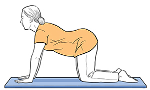 Mujer apoyada sobre rodillas y codos con la espalda floja hacia abajo.
